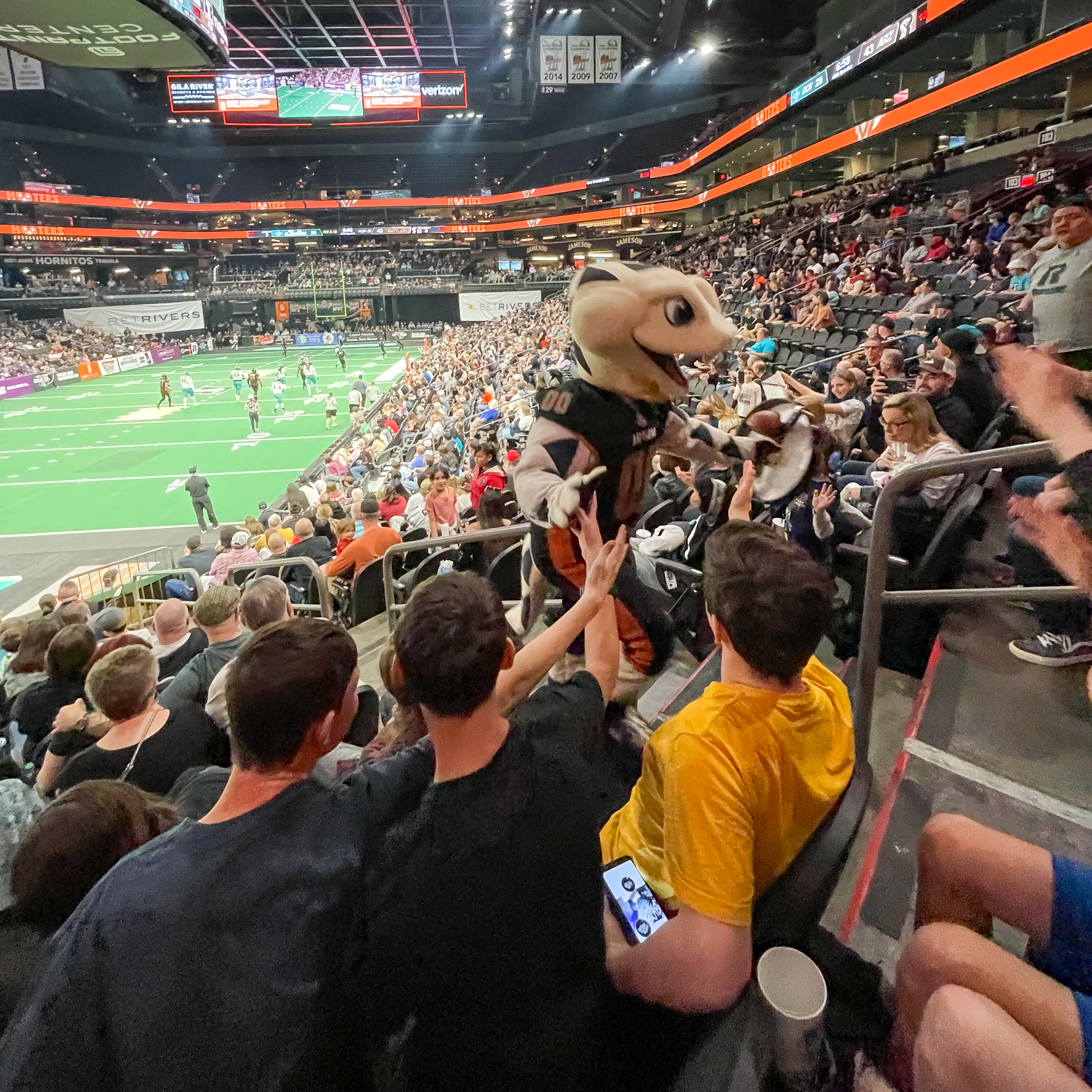 Go AZ Rattlers!